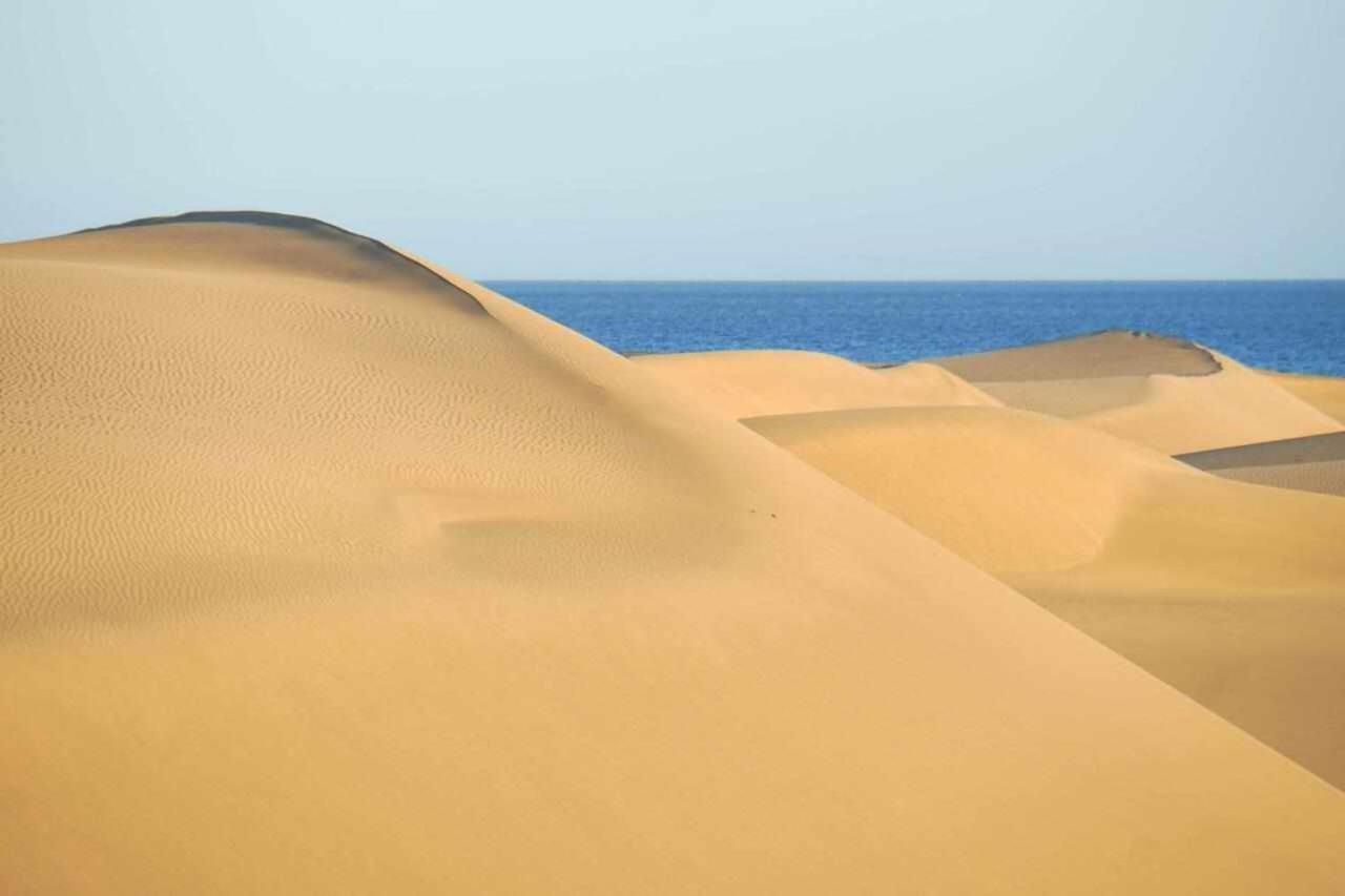 Los Albaricoques Maspalomas  Bagian luar foto